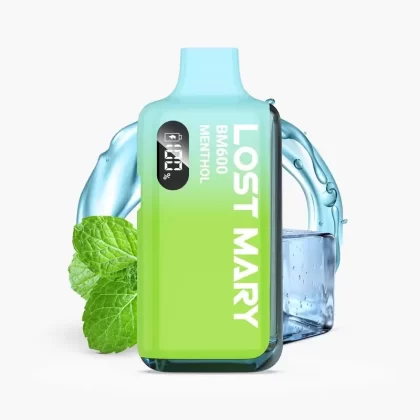 LOST MARY BM6000 | Menthol ?| Hybrid Vape 6000 Züge