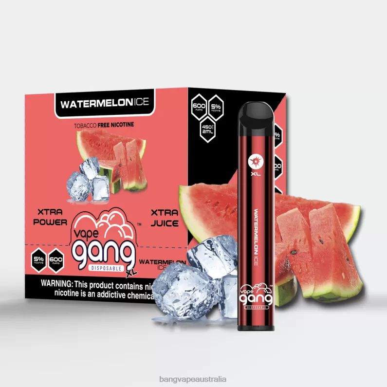 Vape Gang XL Disposable Vapes 600 puffs (Box of 10) 6006N76 Watermelon Ice – Vape Gang Sydney - Bangvapeaustralia