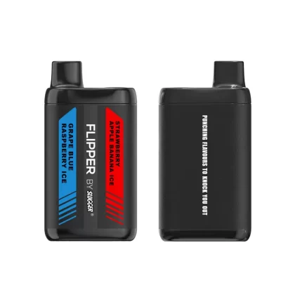 Flipper Disposable Vape – Grape Ice+Blue Razz Ice 40mg (12000 Puffs)
