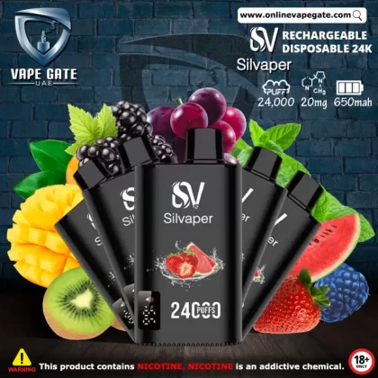 Silvaper Disposable Vape 24000 Puffs - 20 mg / Grape Mint