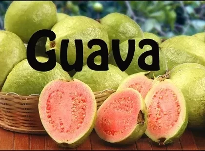 Guava Premium E-Liquid