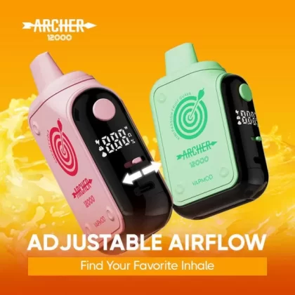 Archer 12000 - Blue Razz