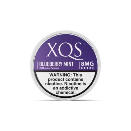XQS Nicotine Pouch Blueberry Mint (20 Count) - 4MG