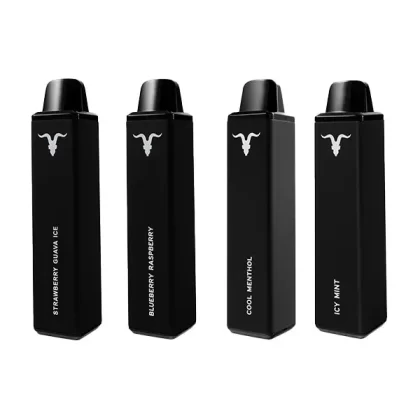 IGNITE V600 Kit 600 Puffs