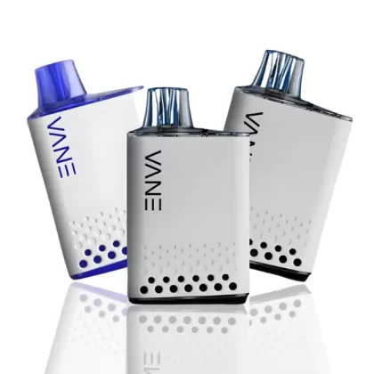 Enva P8000 Puffs Disposable Vape - Rainbow Blast