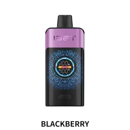 IGET ONE 12000 Puffs – Chuppa Chupps Blackberry - Vape Store