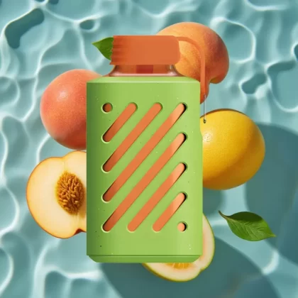 VOZOL GEAR 10000 Disposable Vape Peach Mango Watermelon – 10000 Puffs, 20ml E-liquid, 65% PCR, VAMT Mesh Coil - Bangvapeaustralia