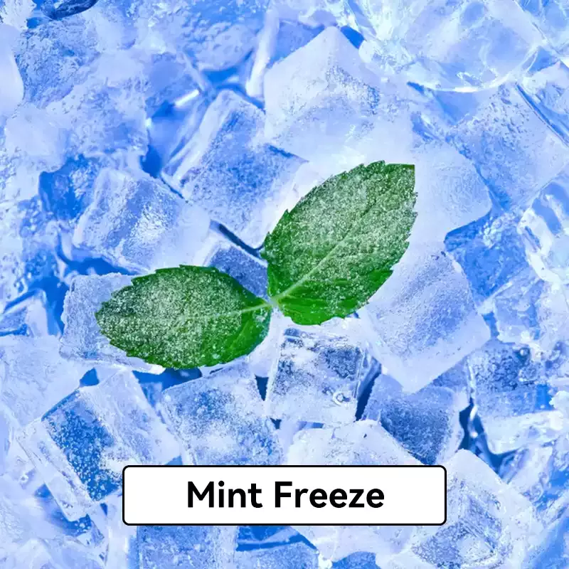 Relx Infinity Pod Gen6 2 pods pack – Mint Freeze - Vape Store