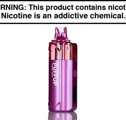 PUFFUP 25K DISPOSABLE VAPE – 25,000 PUFFS - Blackberry Ice, Blueberry Blast