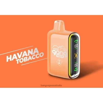 Vape Gang MEGA 20,000 puffs Disposable Vape (Box of 5) 6006N55 Havana Tobacco – Vape Gang Disposables - Bangvapeaustralia