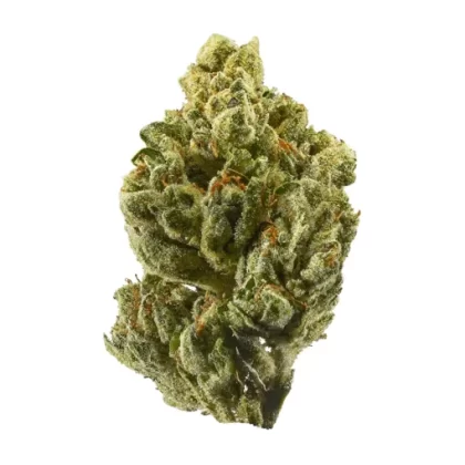 OG KUSH - Ukvapehouse (6A6F4A)