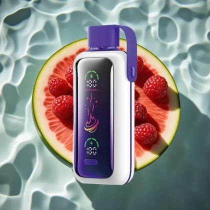 VOZOL Star 20000 Puffs Raspberry Watermelon Disposable Vape with 2.2″ HD Mirror Screen & Dual Mesh - Bangvapeaustralia