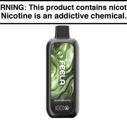 FEELA NIC 40K Disposable Vape – 40,000 Puffs - Berry Ice, Blue Razz (F5B5D3)