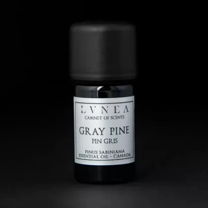 PINE, GRAY | Essential Oil