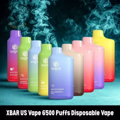 XBAR US Vape 6500 Puffs Disposable Vape - 1pc/pack, BOX OF 10 PCS; Blueberry Ice, Cool Mint