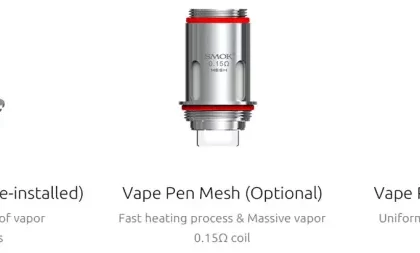 SMOK VAPE PEN 22 0.3 Ohm Replacement Coil 5PCS-PACK