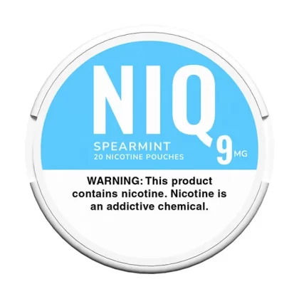 NIQ Spear Mint Nicotine Pouches - Vape Store