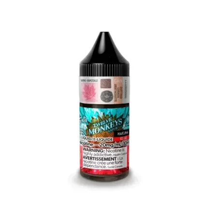 TWELVE MONKEYS ICE SALT 30 ML – HAKUNA